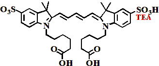 磺酸Cy5双己酸三乙胺盐